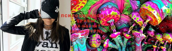 не бодяженный Горно-Алтайск